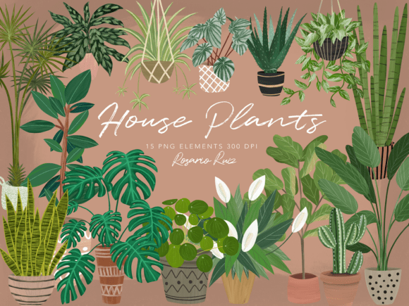 House Plants Clipart, Indoor Plants